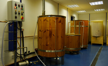 The Beer Brewing Process